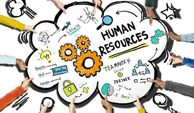 Ilmu pengetahuan basic HR (Human Resource) - gaji, cuti, berhenti kerja, probation period