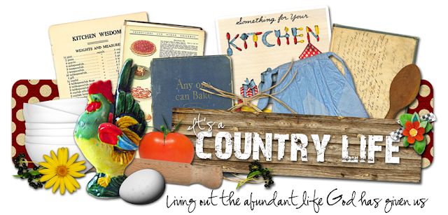 Its a Country Life Blog Design