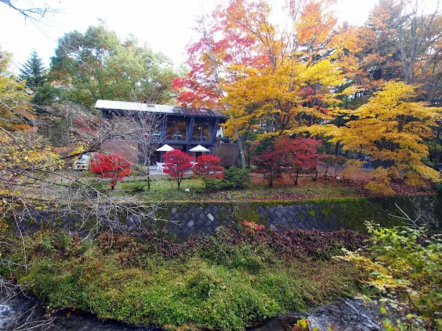 軽井沢　雲場池　紅葉