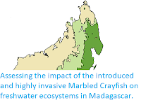 https://sciencythoughts.blogspot.com/2019/11/assessing-impact-of-introduced-and.html