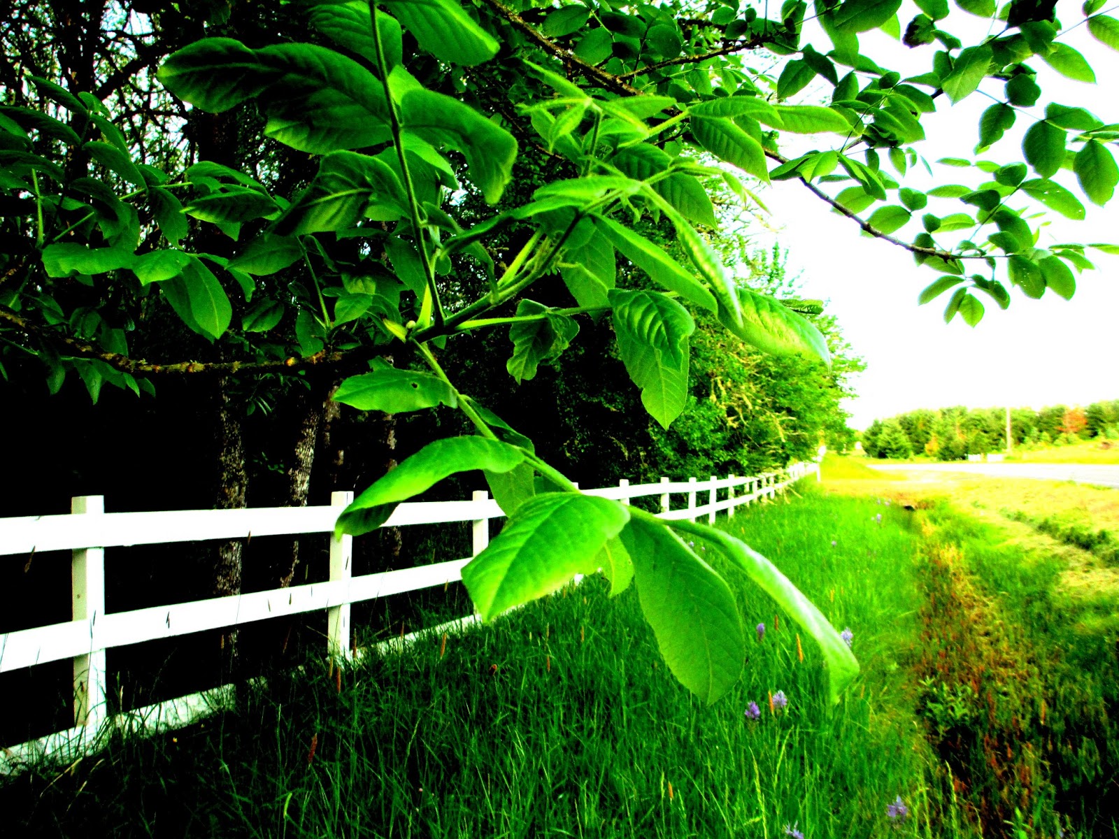 Outdoors and Nature