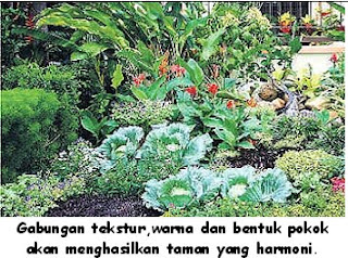   Bolehkah rumah bandar terutama teres mempunyai laman dapur atau
kebun 