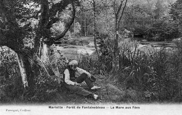 "La Mare aux Fées" Forêt de Fontainebleau