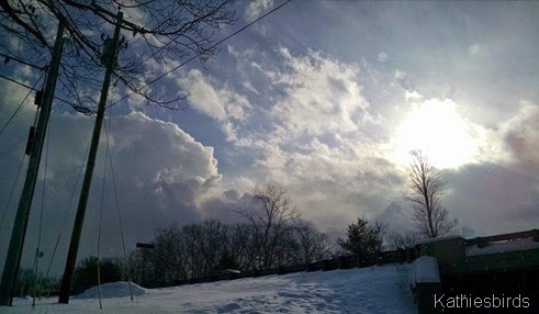 4. sun breaking thru 1-16-15