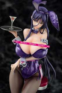 Mahou Shoujo Misae Suzuhara Bunny Girl Style - Ques Q