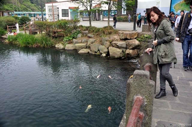  Cheonjiyeon Waterfall at Jeju - Koi Pond near entrance to Cheonjiyeon Waterfall 