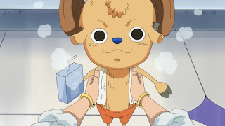 ワンピースアニメ ホールケーキアイランド編 チョッパー Chopper