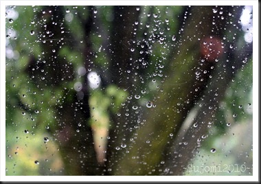 2010 09 10 IMG_3318w