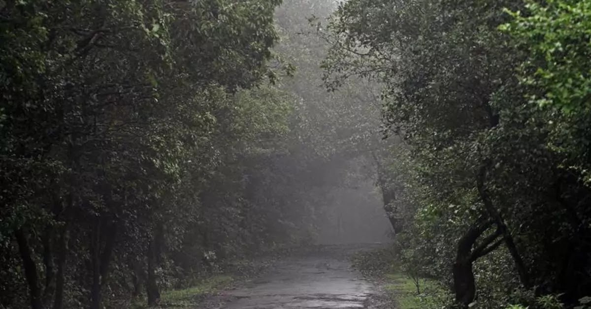 Places to visit and things to do in Amboli