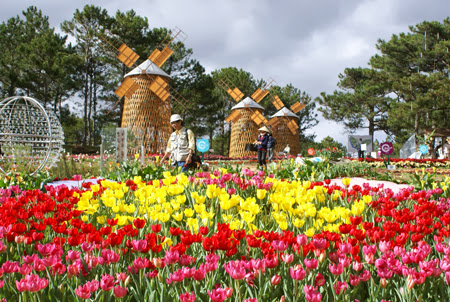 Da Lat city says it with flowers, once again 10