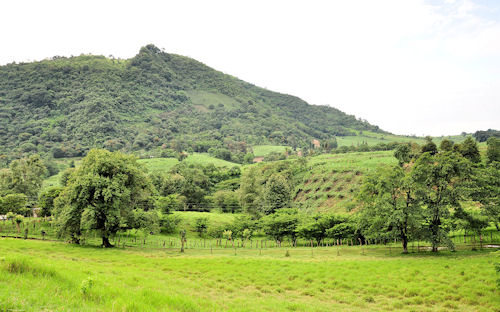 Chayotes, Caña de Azúcar y Paisajes de Chocamán, Veracruz, México