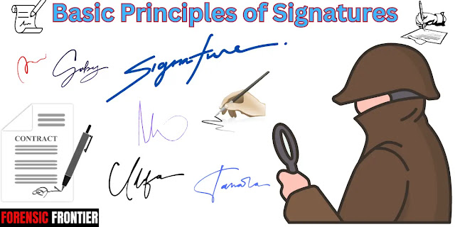 Unraveling the Essence: Basic Principles of Signatures in Forensic Documents