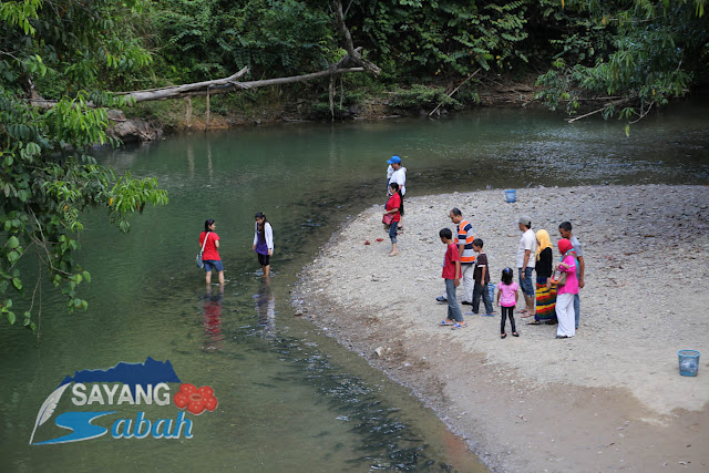 Tagal Spa Fish, Sg Morolo, Kg Luanti Baru, Ranau