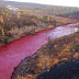 River Of Blood In Russia: Is This a Sign Of End Time? The Story is Shocking!   