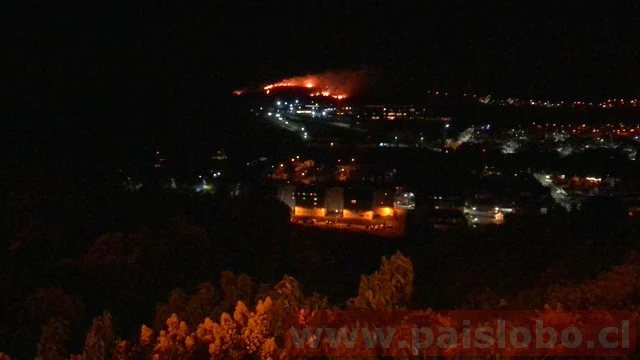 Incendio forestal en sector de Puerto Montt