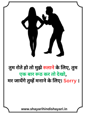 Sorry shayari for gf