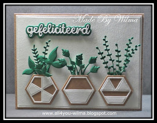 Een felicitatiekaartje met zeshoekige bloempotten met daarin allemaal groene plantjes. A congratulatory card with hexagonal flowerpots containing all kinds of green plants.