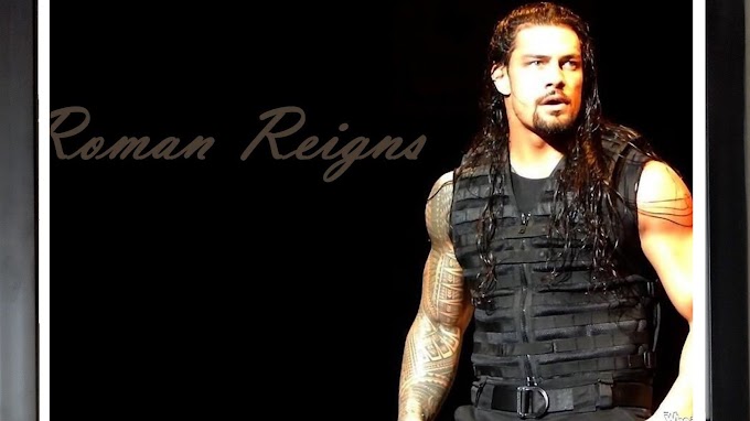 Roman Reigns WWE Superstar Wrestler Shield Body