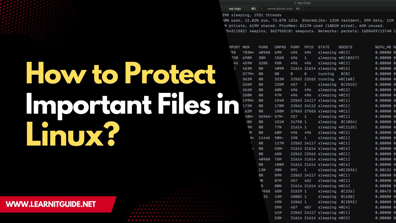 How to Protect Important Files in Linux
