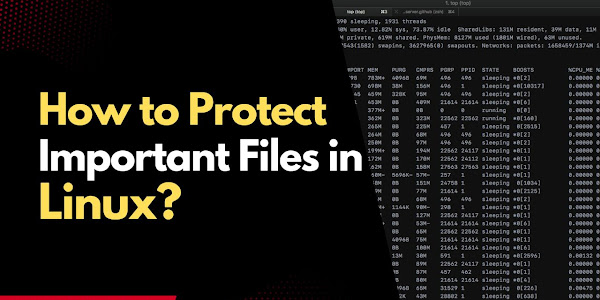 How to Protect Important Files in Linux with Immutable Files