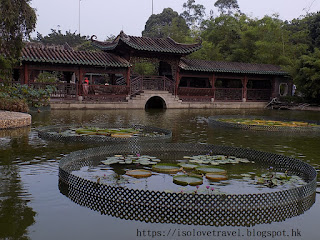 美孚荔枝角公園_嶺南之風_Lingnan_Garden_中式公園_小橋流水_亭台樓閣_親子_拍拖_攝影景點_周末假日好去處_月池橋廊_3