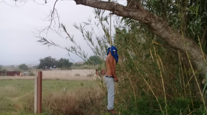 Sujeto se quita la vida al colgarse de un árbol en Ixtapaluca