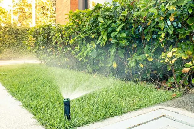 Is it worth the monthly water bill to install a sprinkler system