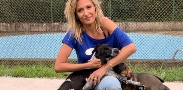 Após ser acusada de roubo de cachorro, Luisa Mell rebate críticas: "Mentirosa"
