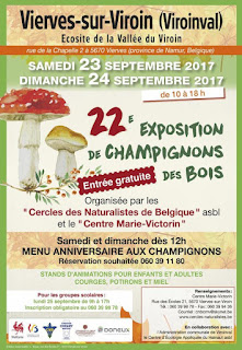 exposition de champignons des bois Belgique 2017