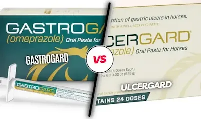 Ulcergard Vs Gastrogard: Unraveling The Mystery