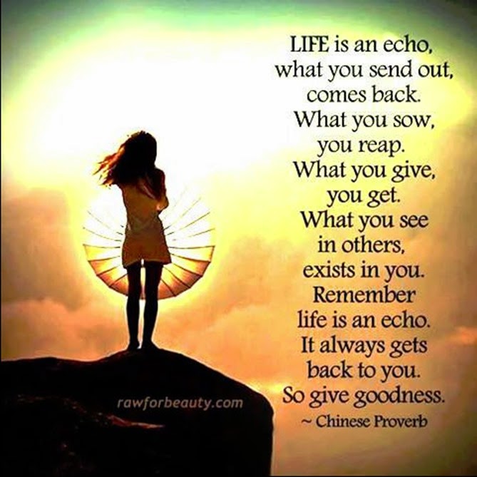 life echo