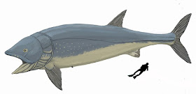 Tamaño Leedsichthys problemticus comparado con un ser humano
