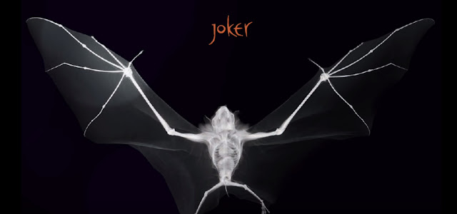Joker - Yarasa Koleksiyonu diss
