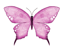 membuat animasi kupu kupu bergerak  di blog