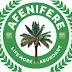 2023: Southern Nigeria has qualified people as president, Afenifere dismisses Northern elders’ position