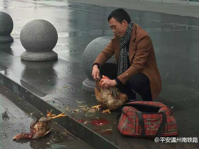 Seorang lelaki terpaksa membunuh 2 ekor ayam di luar stesen kereta api untuk pulang ke kampung