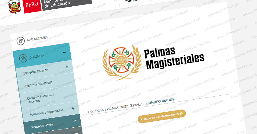 MINEDU: Ganadores Palmas Magisteriales 2019 - www.minedu.gob.pe