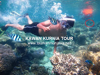 paket karimunjawa