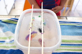 how to make borax crystals grow on pipe cleaners to create art sculptures