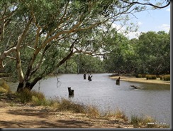 180318 036 Peak Hill  Bogan River Weir