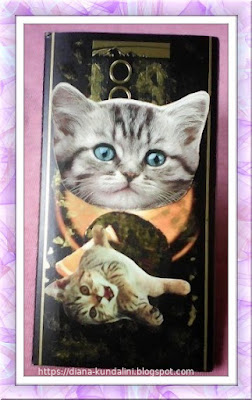 penar din carton avand poze cu pisici pe capac