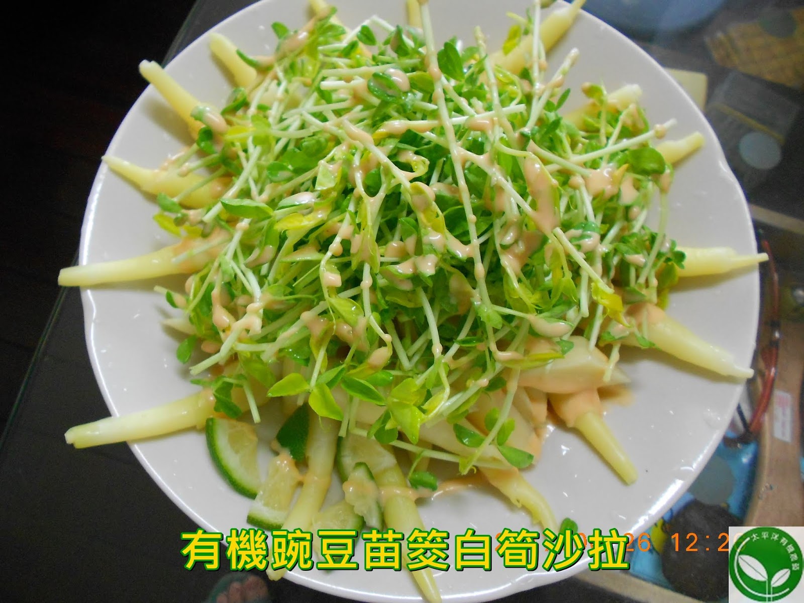 豌豆苗芽菜種子 有機豌豆芽苗菜 太平洋有機農藝 有機水耕種植豌豆苗芽菜苗