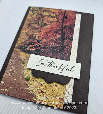 stampin up, all about autumn DSP