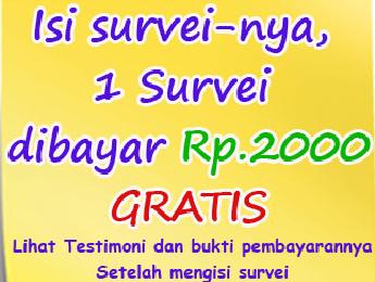 Survei Online