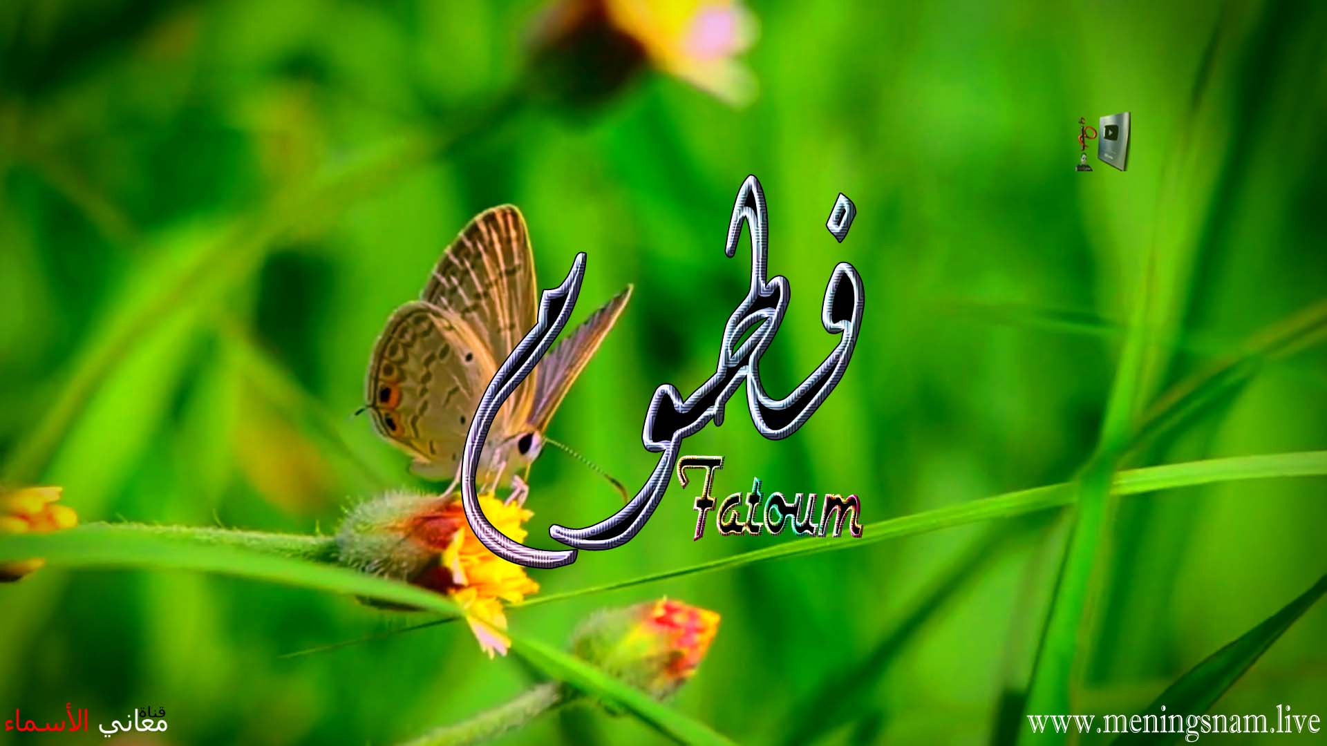 معنى اسم, فطوم, وصفات, حاملة, هذا الاسم, Fatoum,