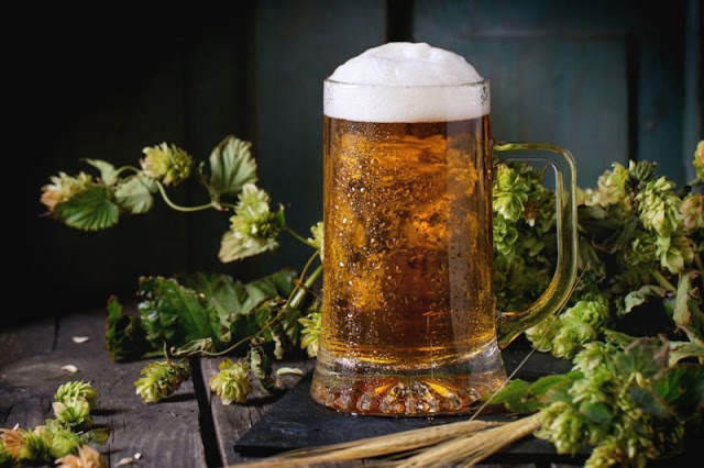 hops-beer facts