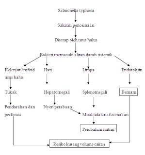 http://wirawan-lesmana.blogspot.co.id/2010/09/askep-anak-dengan-demam-tifoid.html