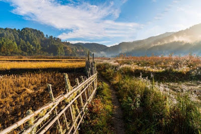 Ziro, Arunachal Pradesh