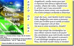Anjo da Lua