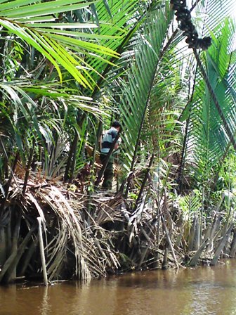 Nelayan Sepanjang Zaman: Aktiviti Memancing Udang Galah NSZ